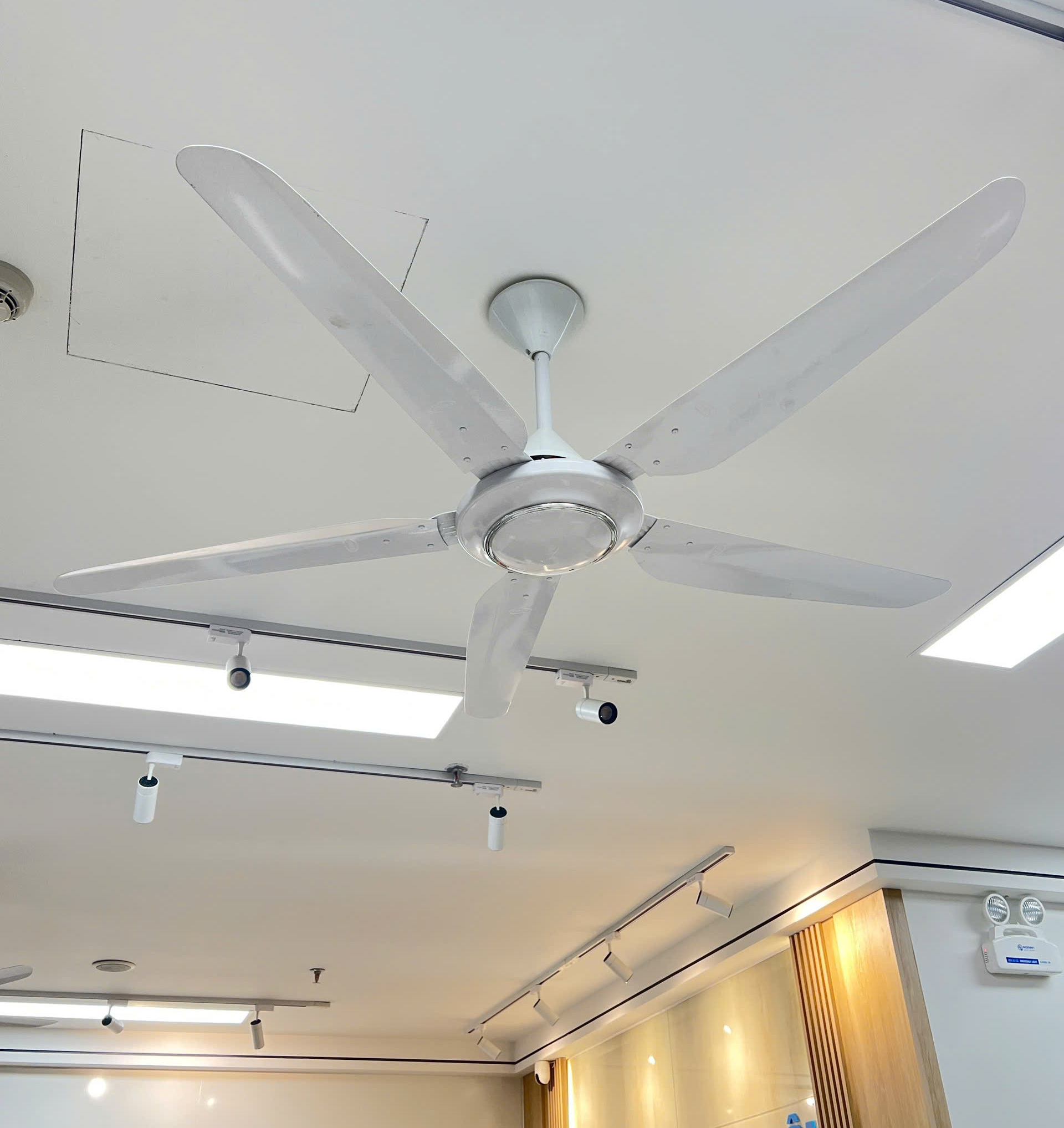 Quạt trần 5 cánh Superlite Max CF-565C (95W)