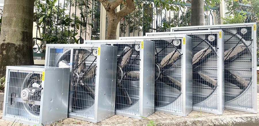 Mẫu Quạt Quạt Thông Gió